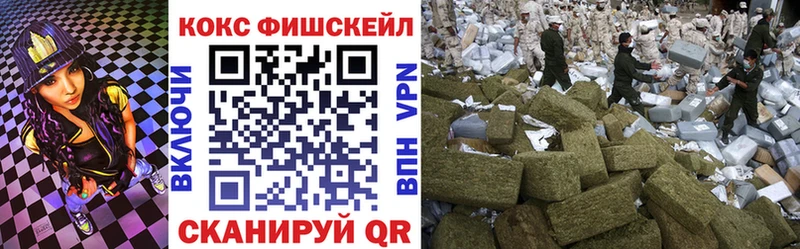 omg онион  Новокубанск  Cocaine 98% 