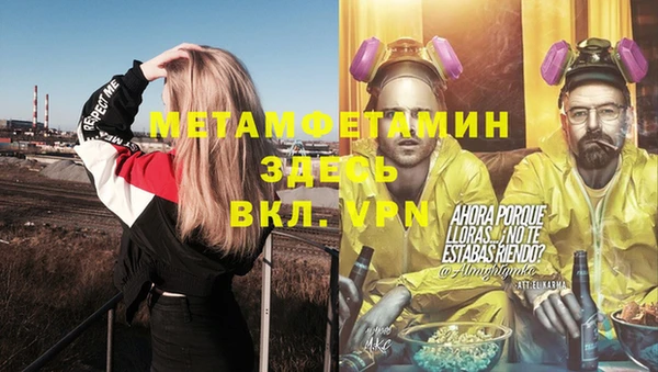 крисы Баксан