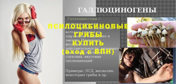 твердый Армянск