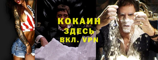 крисы Баксан